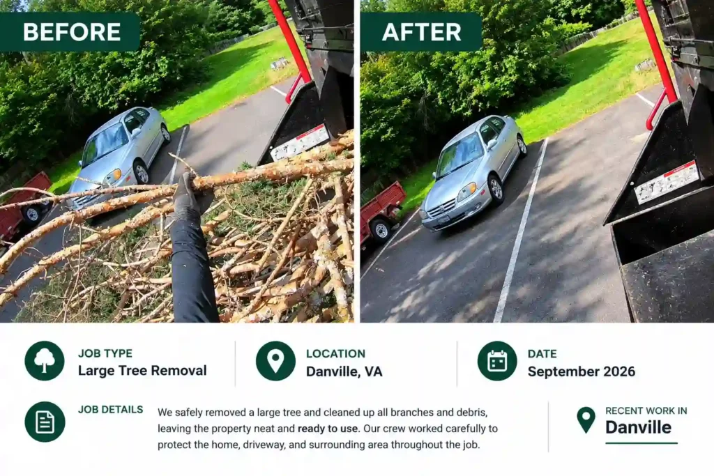 before after image tree removal